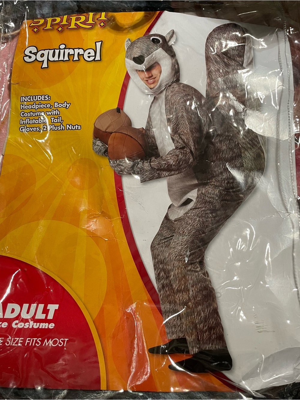 Adult Squirrel Costume - Spirit Halloween. Preowned.